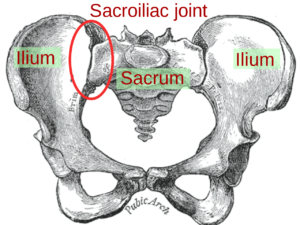 Signs and Symptoms of Ankylosing Spondylitis in West Hills, CA